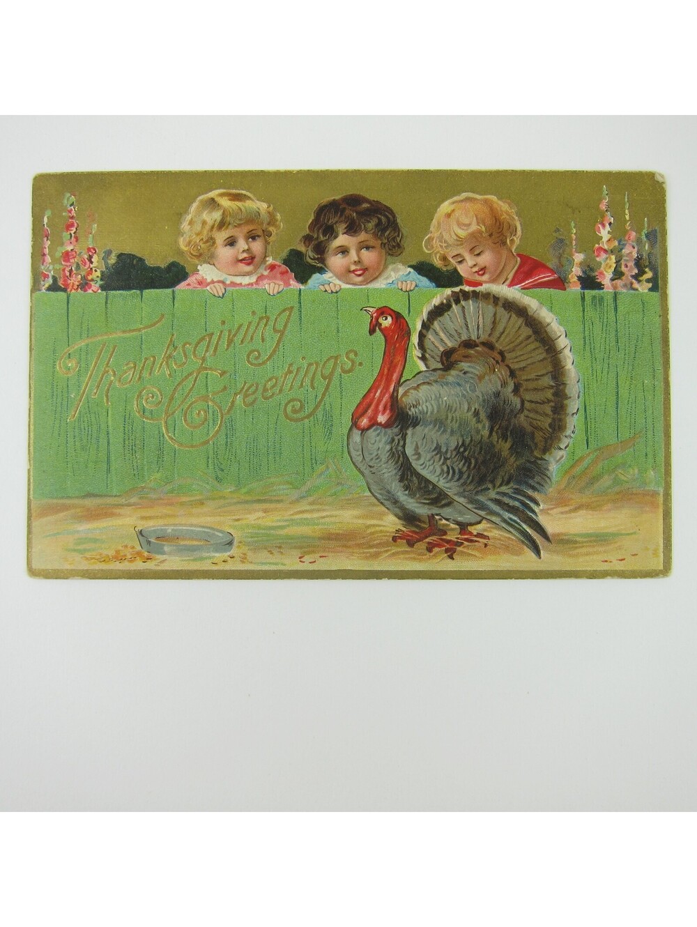 Thanksgiving Postcard Wild Turkey Children at Fence Gold Embossed Antique 1908